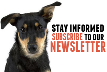 Stay informed with Rescue Express and subscribe to our newsletter