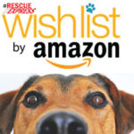 Amazon Wishlist Rescue Express