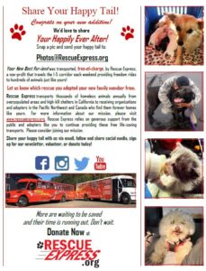 Rescue Express Adopter Share Flyer
