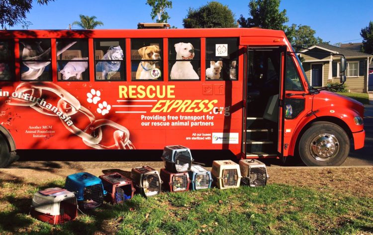 Rescue Bus in Oregon